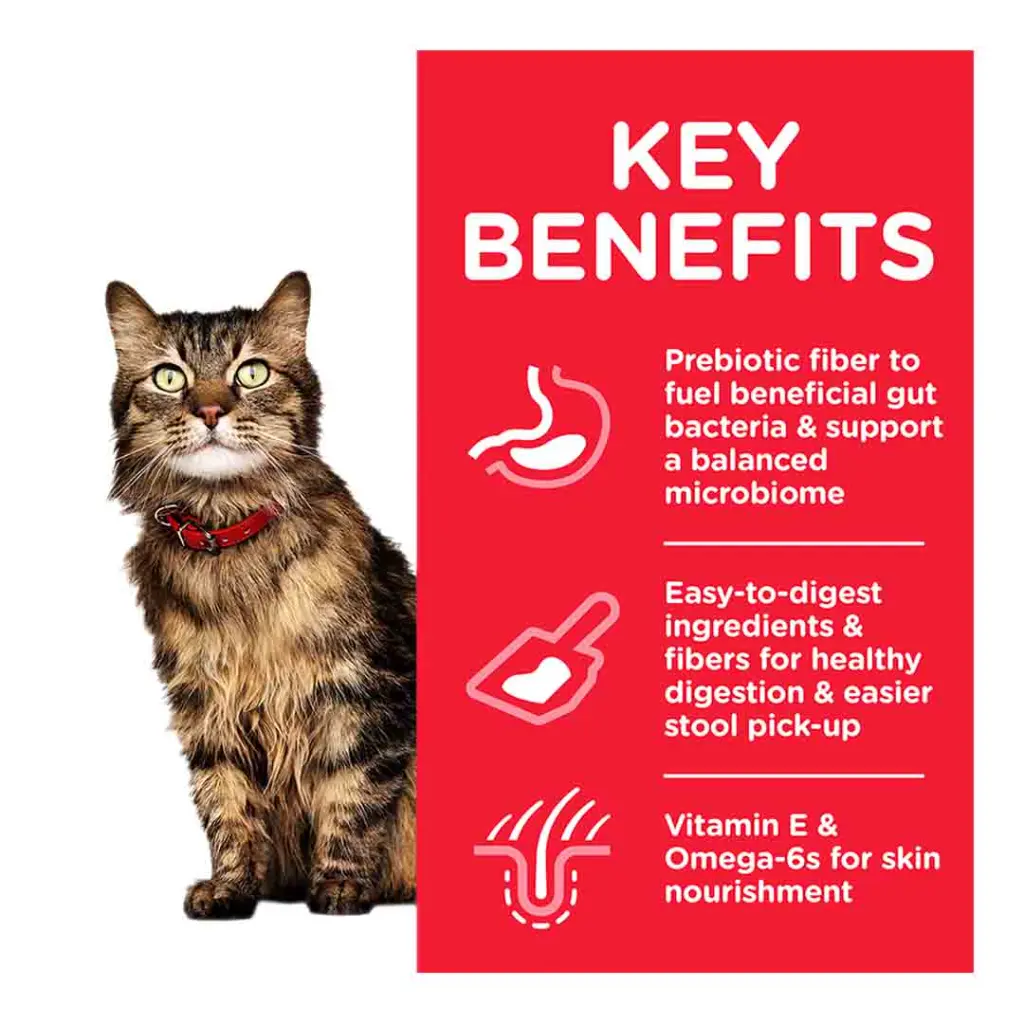 hills-sensitive-stomach-20-26-20skin-cat-chicken-dry-food-kibble-special-diet.webp