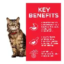 hills-sensitive-stomach-20-26-20skin-cat-chicken-dry-food-kibble-special-diet.webp