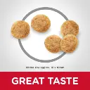 CAT_Adult_Stomach_Skin_Chicken_Kibbles-604072-1.webp