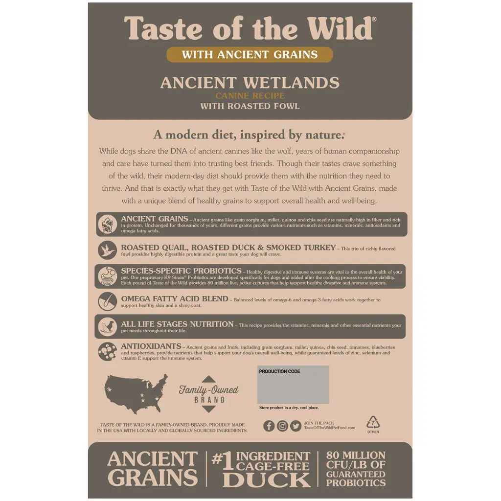 Ancient-Wetlands-2.webp