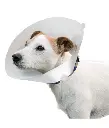 [86006800] Ferplast GRO 6004 Veterinary Collar[Dimension - 28-33 x 12.5cm].webp