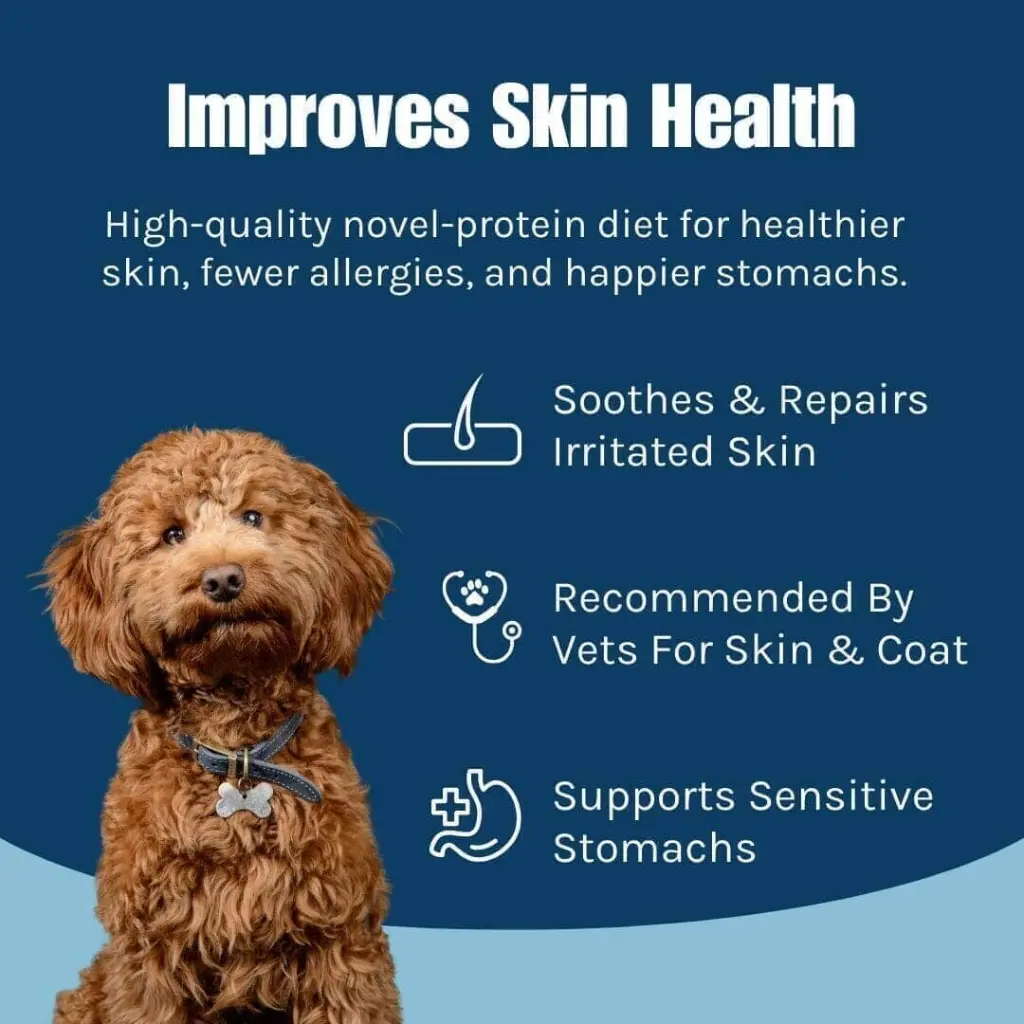 Novel_Protein_Skin_Health.webp