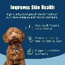 Novel_Protein_Skin_Health.webp