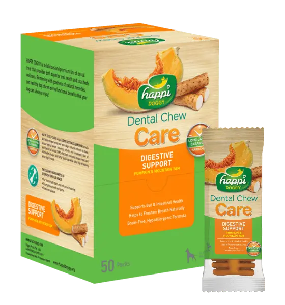 Happi-Doggy-Dental-Chew-Care-Digestive-Support-Pumpkin-and-Mountain-Yam-Box-of-4inch.webp