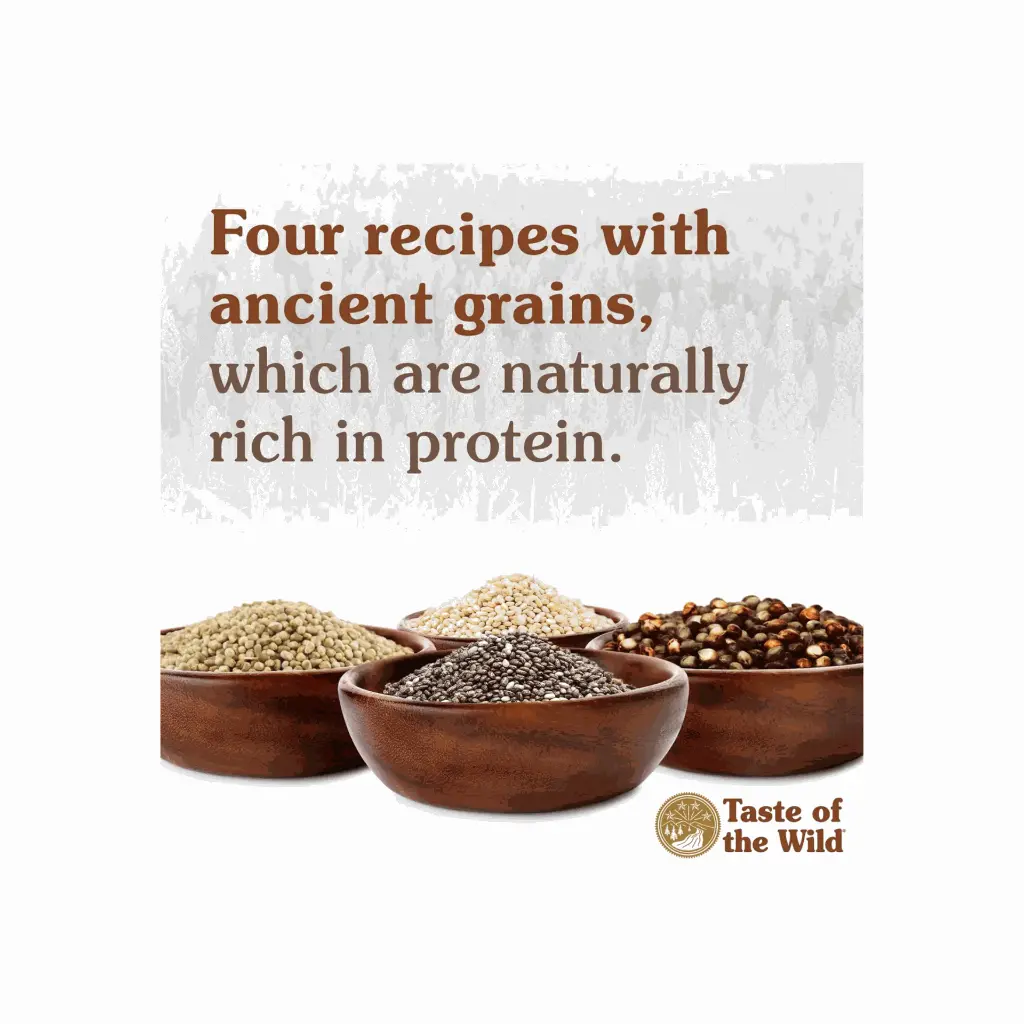 Jonette - 2025-09-24T152513.604.webp