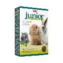 Untitled design (37).webp