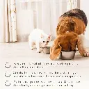 71nkjsMUd-L._AC_SL1500_.webp
