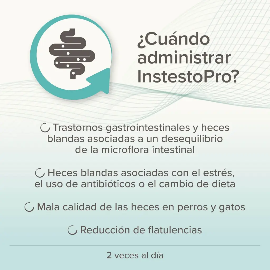 71OCEHFH10L._AC_SL1500_.webp