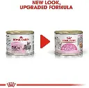 41Oz8ZitA4L._AC_.webp