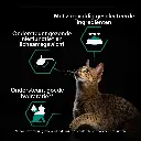 81hCiuetRLL._AC_SL1500_.webp