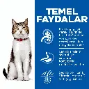 petsouq - 2025-07-14T130803.352.webp