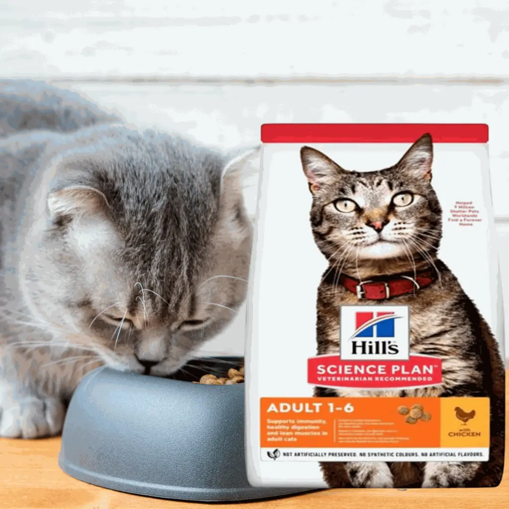 petsouq - 2025-07-14T125745.282.webp