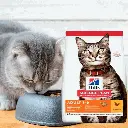 petsouq - 2025-07-14T125745.282.webp