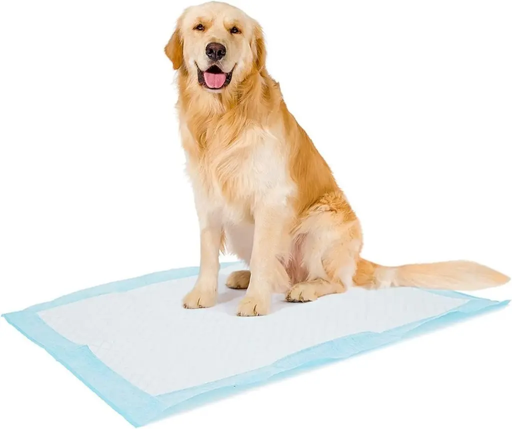 Duvo+ Pet Pad Premium Month Pack XXL-60x90cm-Odour Control-30pcs.webp