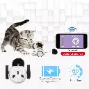 Duvo+ Race 'n Chase Mouse App-controlled Cat Toy 17x7x4cm White.webp
