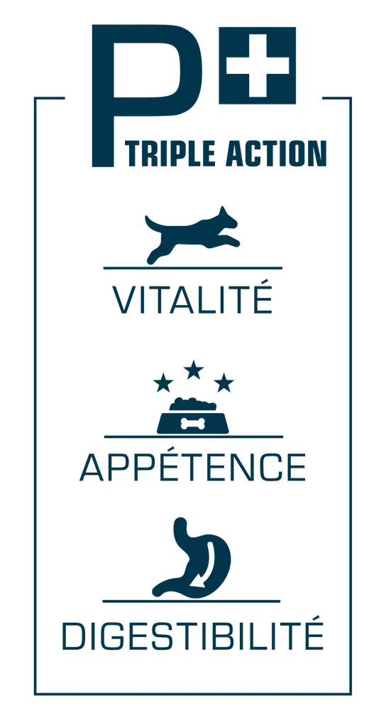 Pro nutrition Prestige Kitten With Fish 2Kg (1).webp