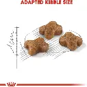 Feline Health Nutrition Kitten 2 KG-3