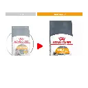Royal Canin FCN Feline Care Nutrition Hair & Skin 2kg Cat Dry Food-2