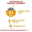 Royal Canin FCN Feline Care Nutrition Hair & Skin 2kg Cat Dry Food-3