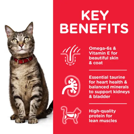 CAT_Adult_Chicken_Pouch_Transition-Benefits-510x510[1].webp