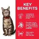 CAT_Adult_Chicken_Pouch_Transition-Benefits-510x510[1].webp