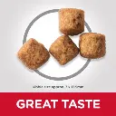 DOG_Adult_Large_Perfect_Weight_Chicken_Kibbles-510x510[1].webp