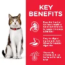 CAT_Mature_Adult_Chicken_Transition-Benefits-510x510[1].webp