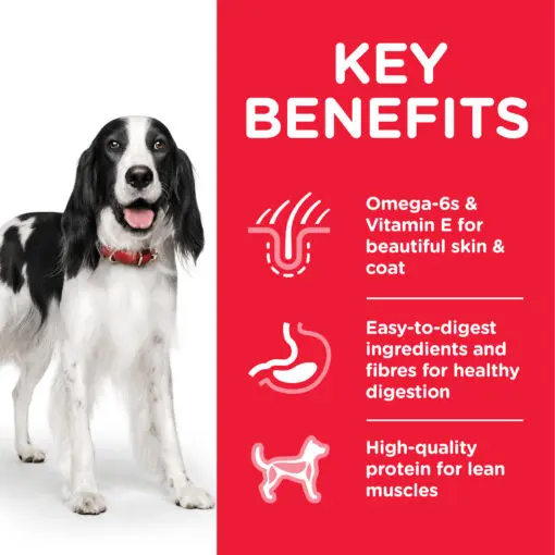 DOG_Adult_Medium_Chicken_Transition-Benefits-510x510[1].webp