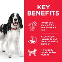 DOG_Adult_Medium_Chicken_Transition-Benefits-510x510[1].webp