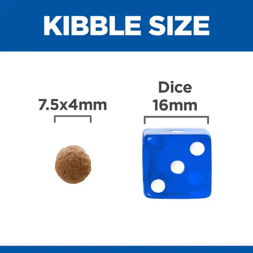 sp-canine-adult-perfect-digestion-small-mini-chicken-brown-rice-dry-productKibble_500.webp