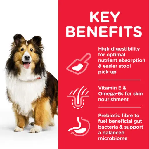 DOG_Adult_Medium_Stomach_Skin_Chicken_Transition-Benefits-510x510[1].webp