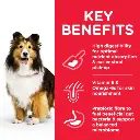DOG_Adult_Medium_Stomach_Skin_Chicken_Transition-Benefits-510x510[1].webp