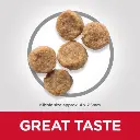 DOG_MA_SM_Chicken_Kibbles-510x510[1].webp