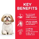 DOG_MA_SM_Chicken_Transition-Benefits-510x510[1].webp