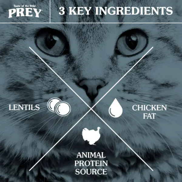 TOTW-PREY-Turkey-Cat-4-600x600.webp