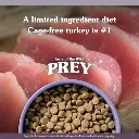 TOTW-PREY-Turkey-Cat-3-600x600.webp