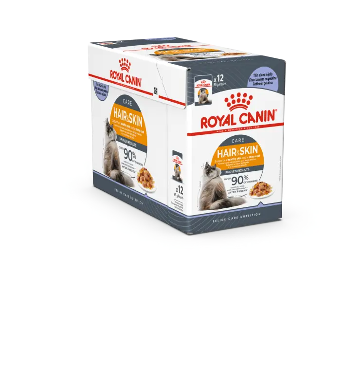download (64).webp