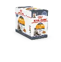 download (64).webp