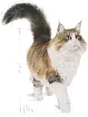 414kRvGrKYL._AC_SX679_.webp