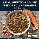 Ancient-Stream-Canine-Recipe-4.webp