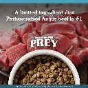 TOTW-PREY-Angus-Beef-Dog-4.webp