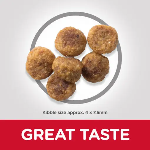 DOG_Adult_SM_Lamb_Kibbles-510x510[1].webp