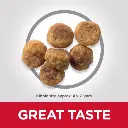 DOG_Adult_SM_Lamb_Kibbles-510x510[1].webp