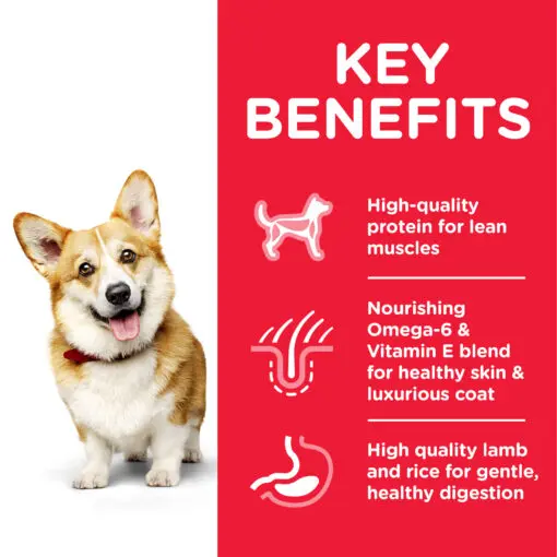 DOG_Adult_SM_Lamb_Transition-Benefits-510x510[1].webp