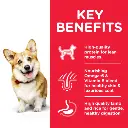 DOG_Adult_SM_Lamb_Transition-Benefits-510x510[1].webp
