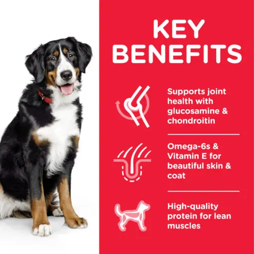DOG_Adult_Large_Chicken_Transition-Benefits-510x510[1].webp