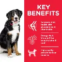 DOG_Adult_Large_Chicken_Transition-Benefits-510x510[1].webp