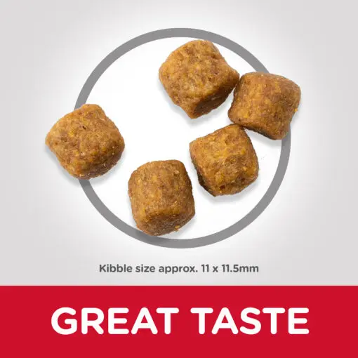 DOG_Adult_Medium_Lamb_Kibbles-510x510[1].webp