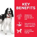 DOG_Adult_Medium_Lamb_Transition-Benefits-510x510[1].webp