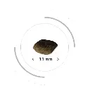 Pro nutrition Prestige Dog Adult Mini 3Kg.webp